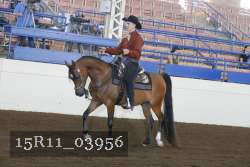 15R11_03956 thumbnail