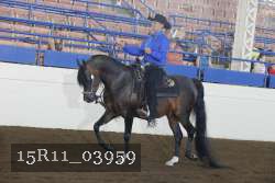 15R11_03959 thumbnail