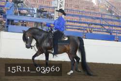 15R11_03960 thumbnail