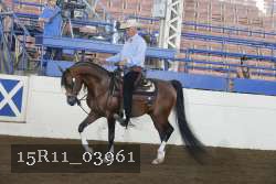 15R11_03961 thumbnail