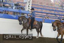 15R11_03963 thumbnail