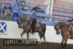 15R11_03964 thumbnail