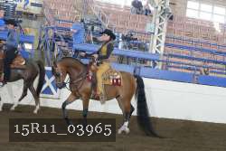15R11_03965 thumbnail