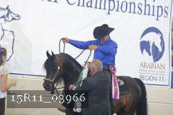 15R11_03966 thumbnail