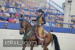 15R11_03973 thumbnail