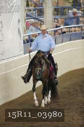 15R11_03980 thumbnail