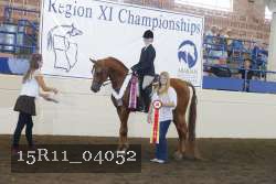 15R11_04052 thumbnail