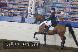 15R11_04154 thumbnail