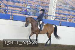 15R11_04298 thumbnail