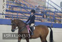 15R11_04313 thumbnail