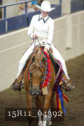 15R11_04392 thumbnail