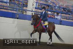 15R11_04411 thumbnail