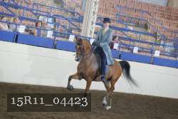 15R11_04423 thumbnail
