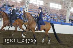 15R11_04720 thumbnail