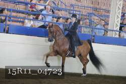 15R11_04723 thumbnail