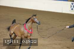 15R11_04822 thumbnail