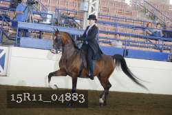 15R11_04883 thumbnail