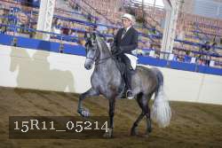 15R11_05214 thumbnail