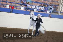 15R11_05471 thumbnail