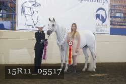 15R11_05517 thumbnail
