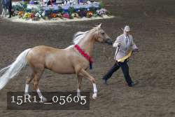 15R11_05605 thumbnail