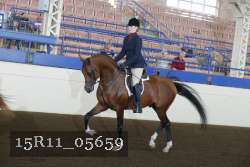15R11_05659 thumbnail