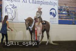 15R11_05891 thumbnail
