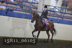 15R11_06105 thumbnail