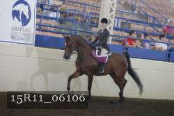 15R11_06106 thumbnail
