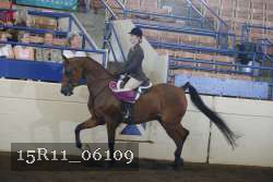 15R11_06109 thumbnail