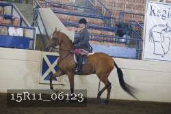 15R11_06123 thumbnail