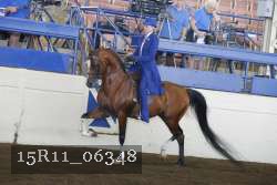 15R11_06348 thumbnail