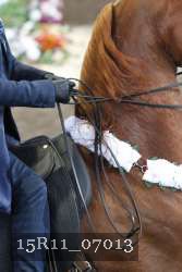 15R11_07013 thumbnail