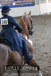 15R11_07014 thumbnail