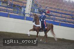 15R11_07015 thumbnail