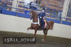 15R11_07016 thumbnail