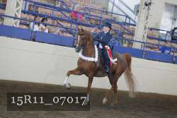 15R11_07017 thumbnail
