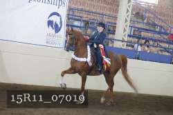 15R11_07019 thumbnail