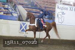 15R11_07022 thumbnail