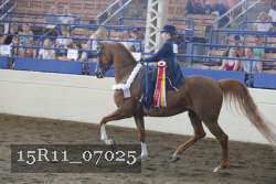 15R11_07025 thumbnail