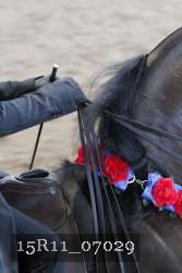 15R11_07029 thumbnail