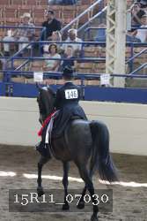 15R11_07030 thumbnail