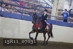 15R11_07031 thumbnail
