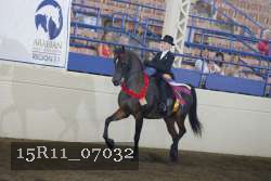 15R11_07032 thumbnail