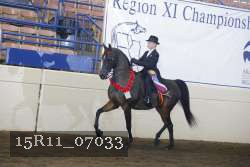 15R11_07033 thumbnail