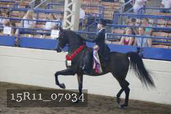 15R11_07034 thumbnail