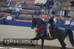 15R11_07035 thumbnail