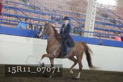 15R11_07071 thumbnail
