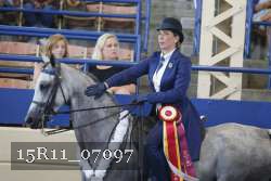 15R11_07097 thumbnail