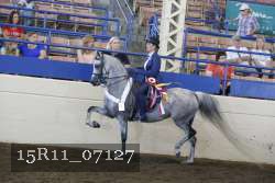 15R11_07127 thumbnail